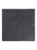 Lisa Yang brushed scarf - Grey