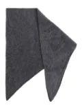 Lisa Yang brushed cashmere scarf - Grey