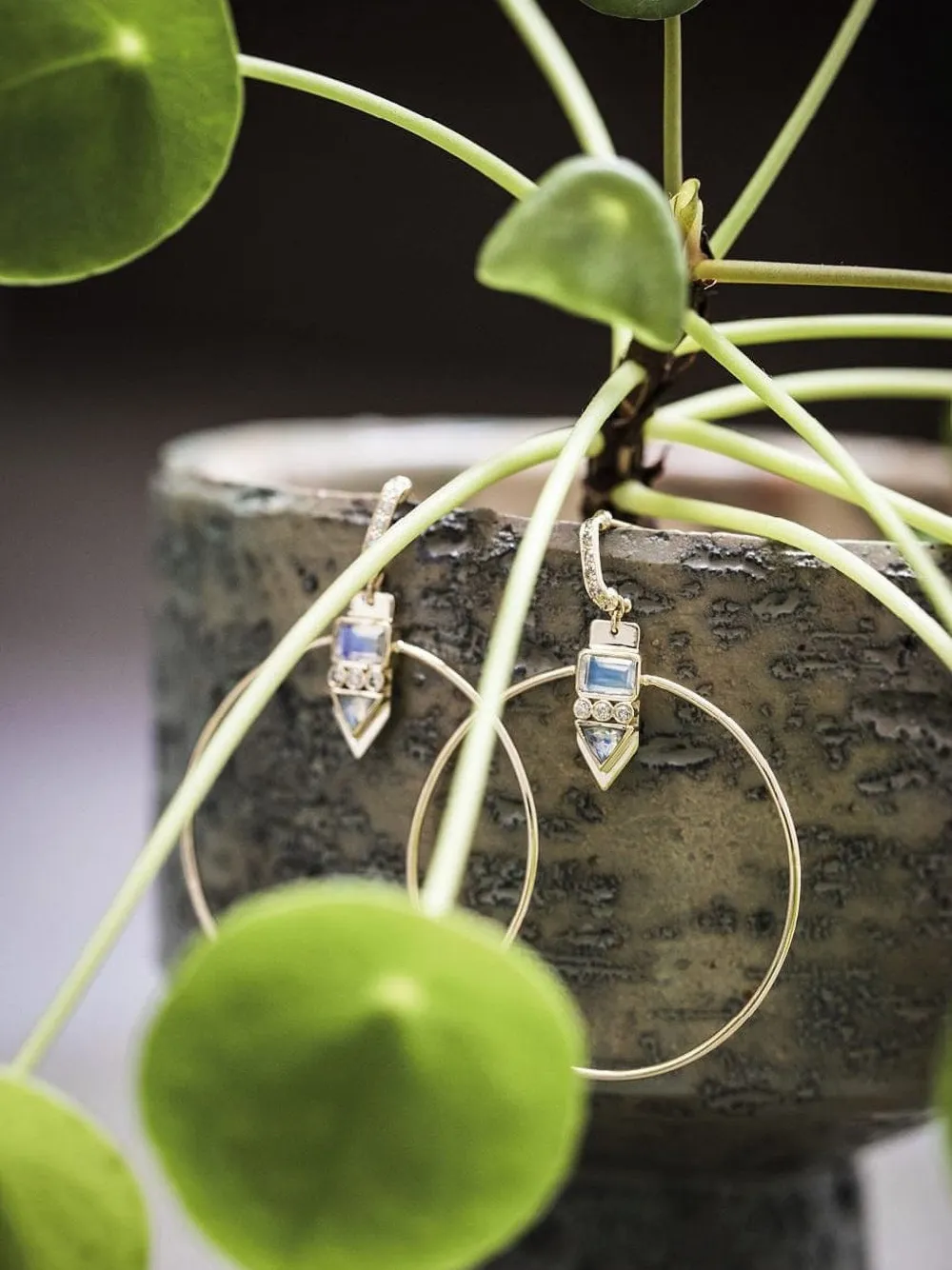 Celine Daoust 14k Yellow Gold Moonstone Diamond Hoop Earrings In Gold