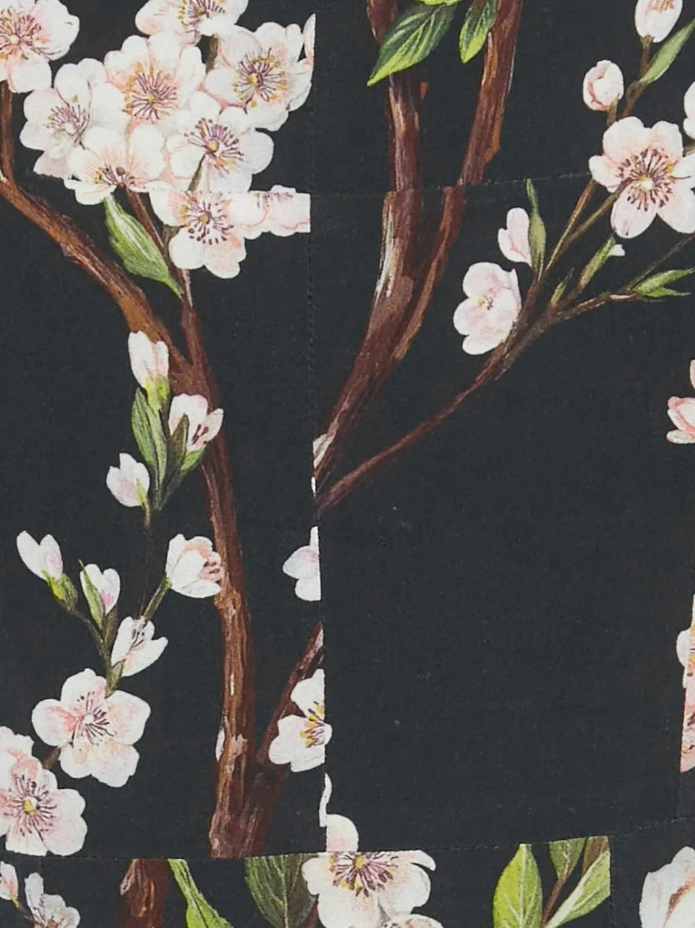 DOLCE & GABBANA Pre-owned Floral-print Short-sleeve Midi Dress In Black