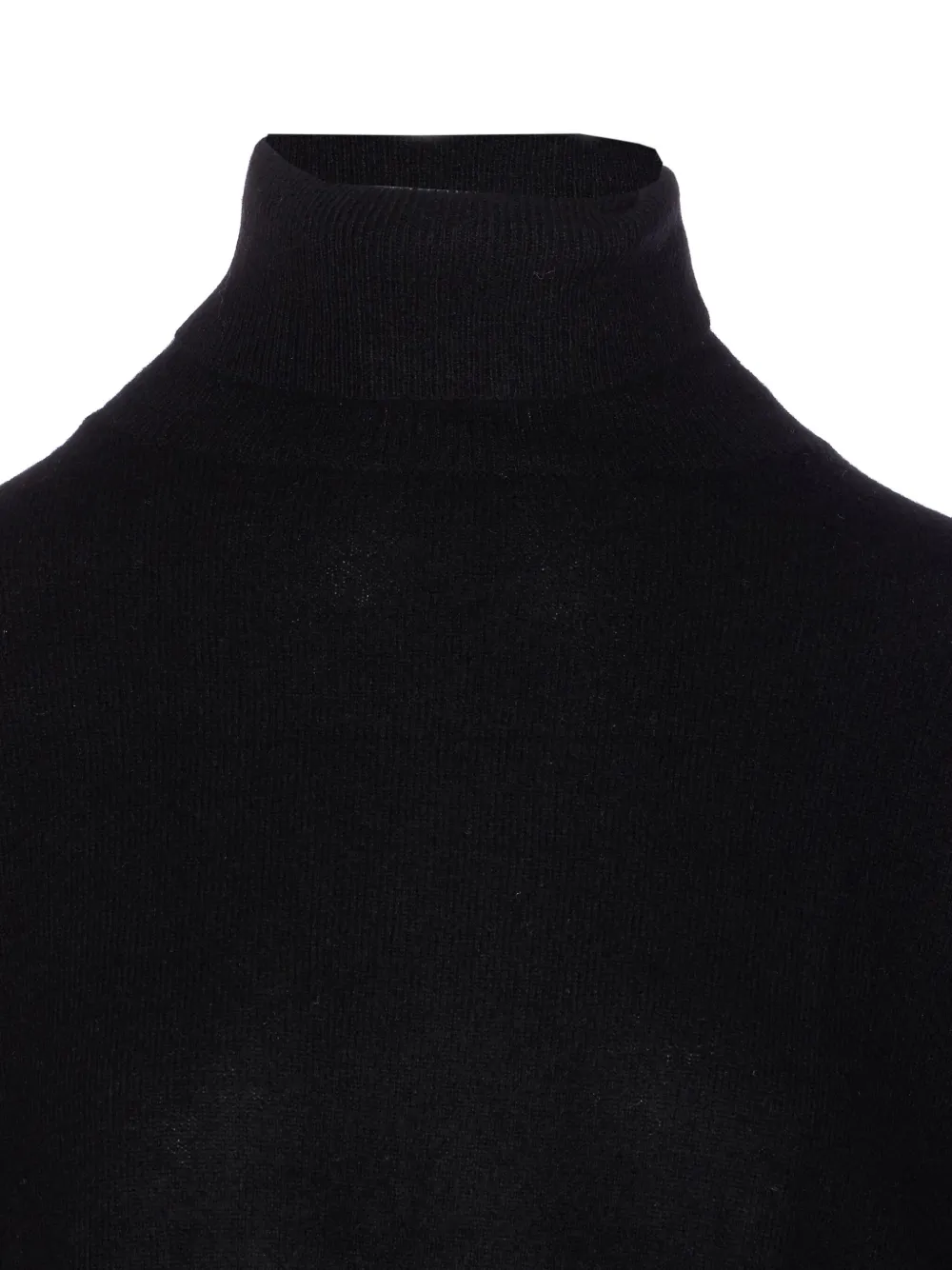 Not Shy Turtleneck Cashmere Sweater In Black