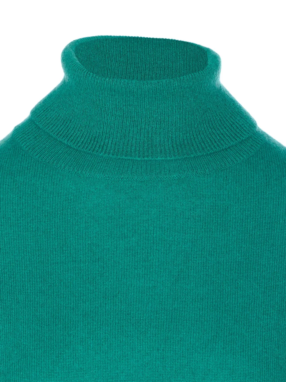 Not Shy Roll-neck Cashmere Sweater In Green