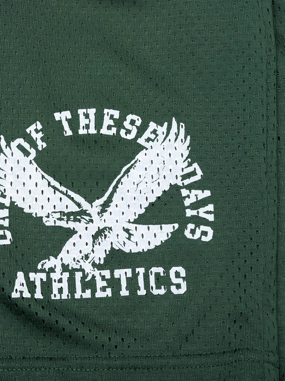 One Of These Days Eagle-logo Mesh Shorts In Green