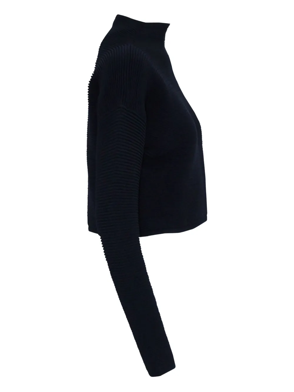  Dion Lee Ribbed Mock-neck Sweater - Blue 