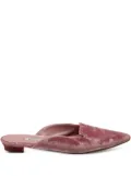 Manolo Blahnik pointed-toe velvet mules - Pink