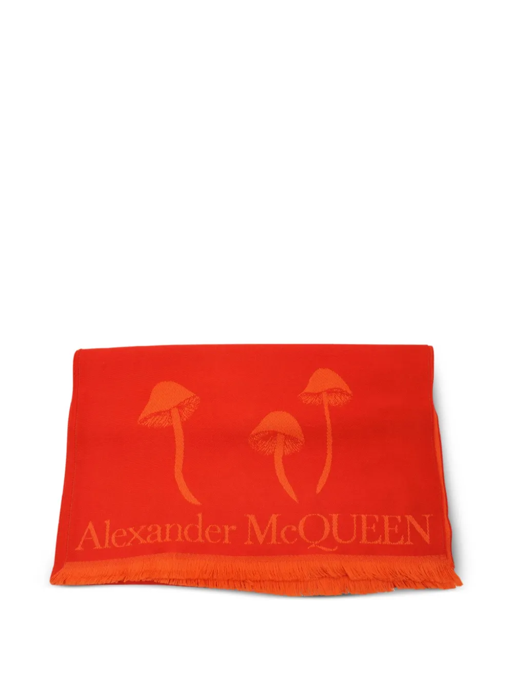 Alexander McQueen Pre-Owned skull-print fringe-edges scarf | Image 2