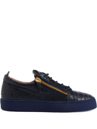 Giuseppe Zanotti