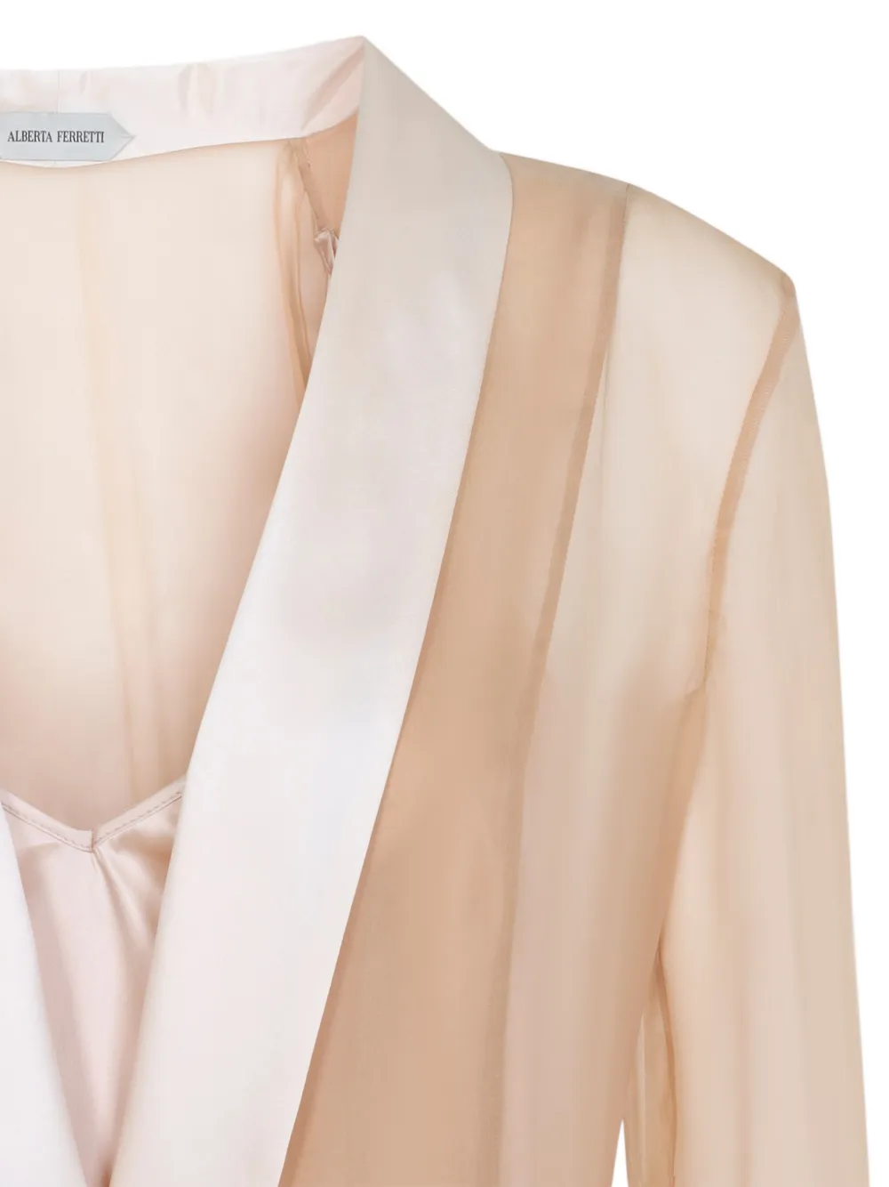 Alberta Ferretti Sheer Long Dress With V-neckline And Sleeves In Neutral