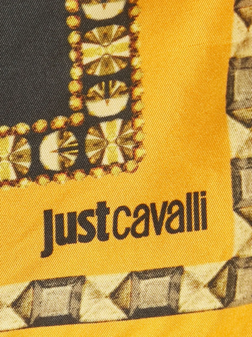 Just Cavalli écharpe en soie à imprimé léopard (années 2000) | Image 2