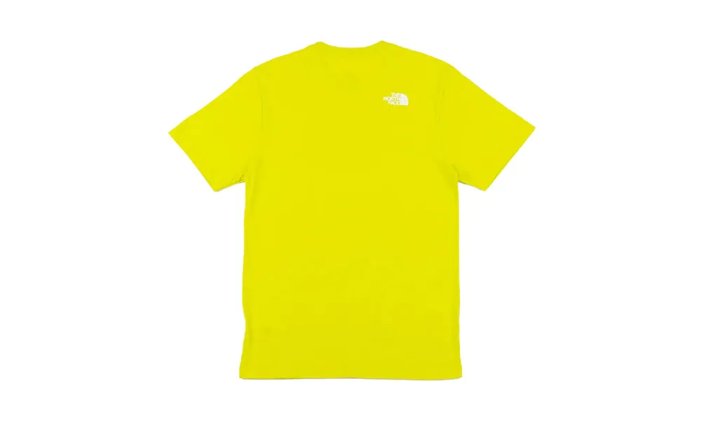 The North Face Evolution Half Dome T-shirt In Yellow