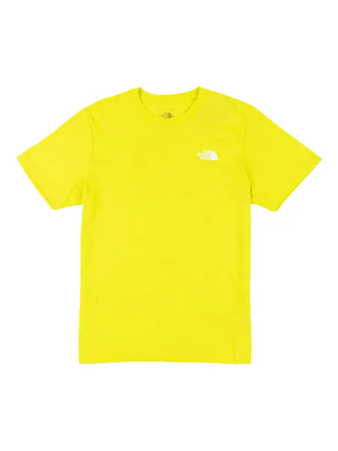 The North Face Evolution Box NSE T-shirt