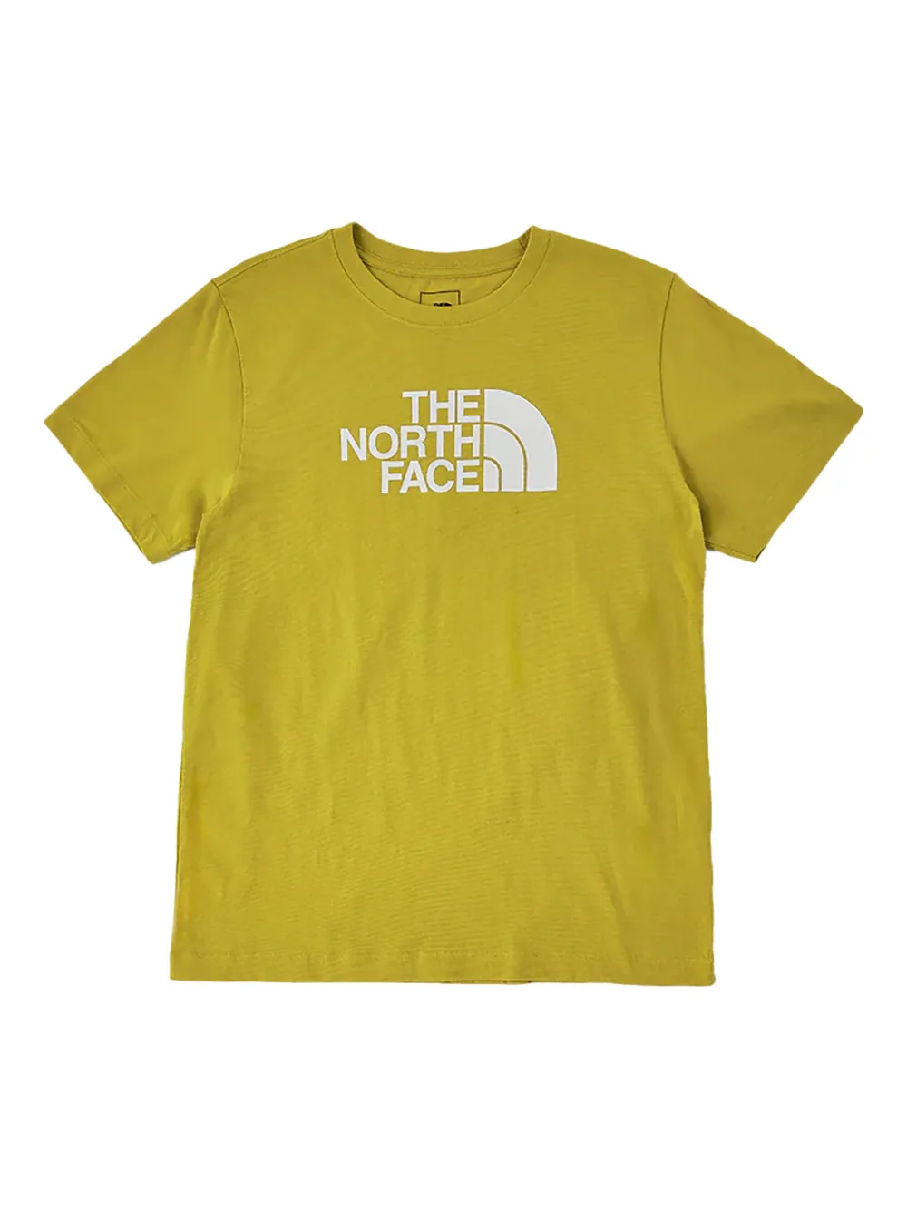 The North Face Evolution Half Dome T-shirt | jaune | Image 1