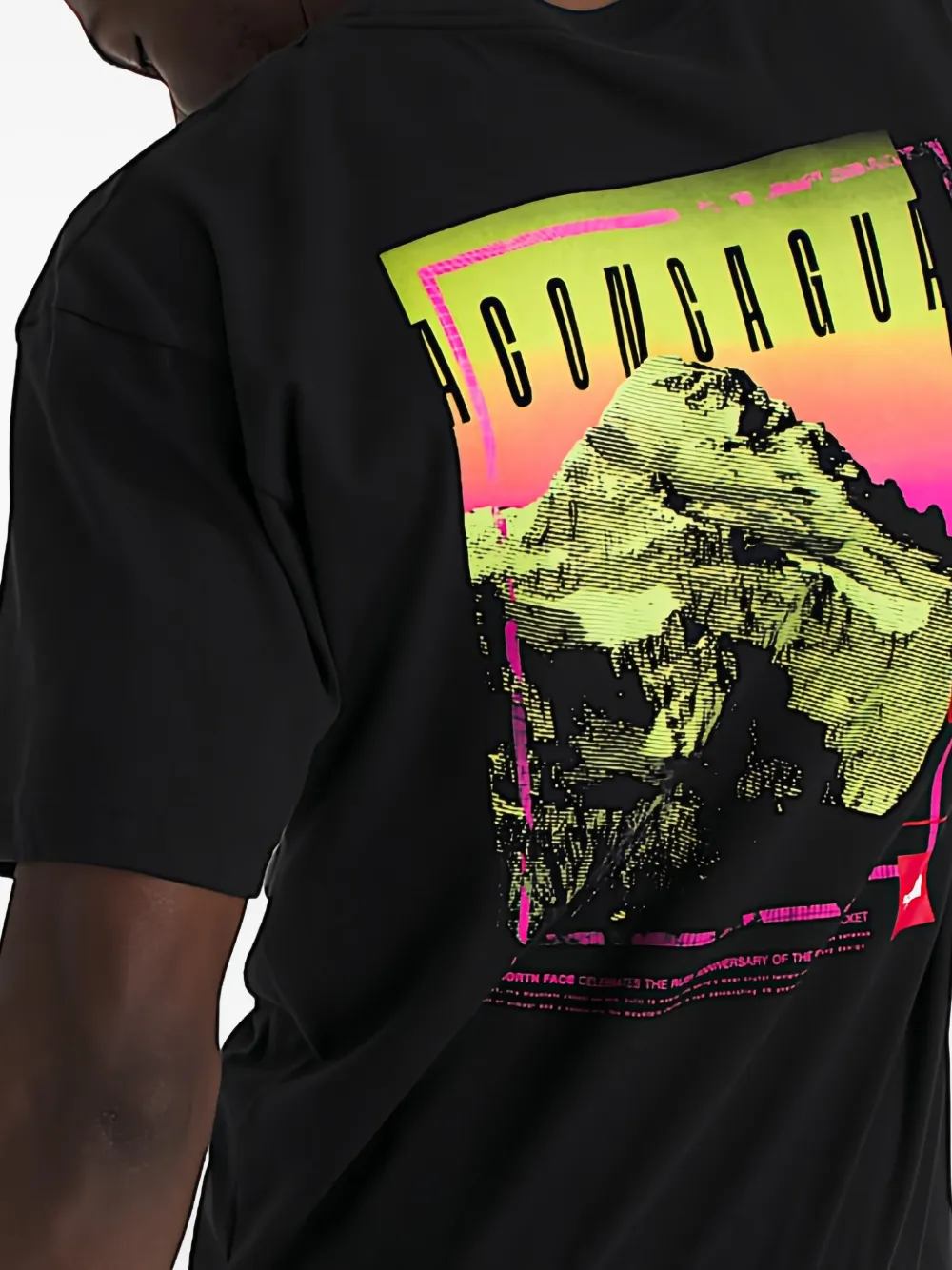 The North Face T-shirt met Aconcagua-print Zwart