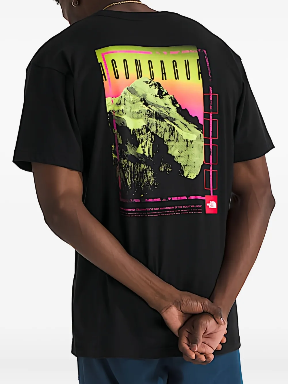 The North Face T-shirt met Aconcagua-print Zwart
