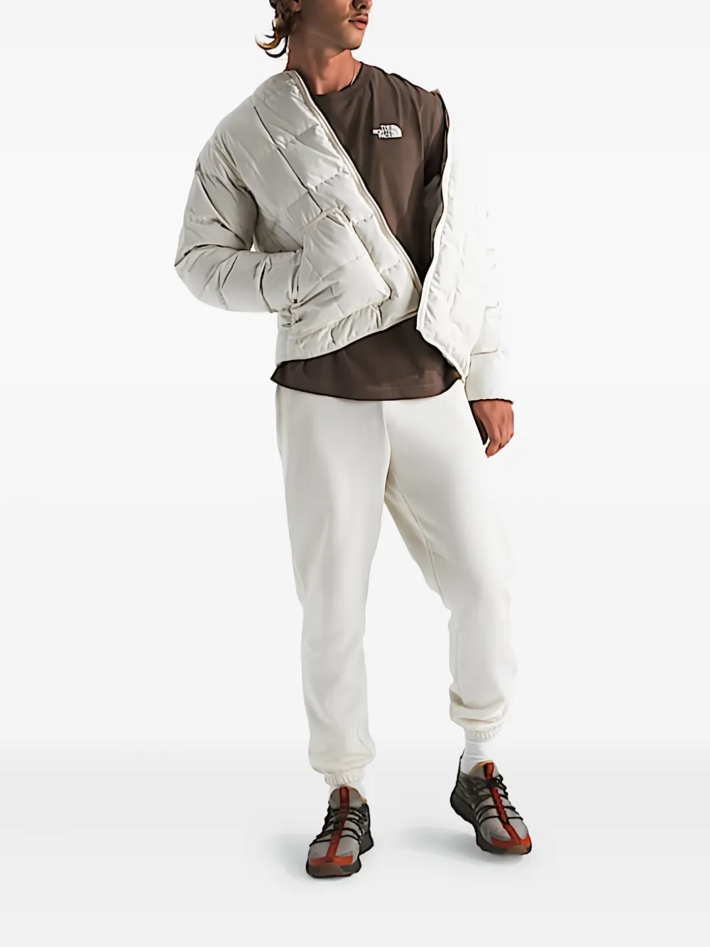 The North Face Evolution T-shirt met korte mouwen Bruin