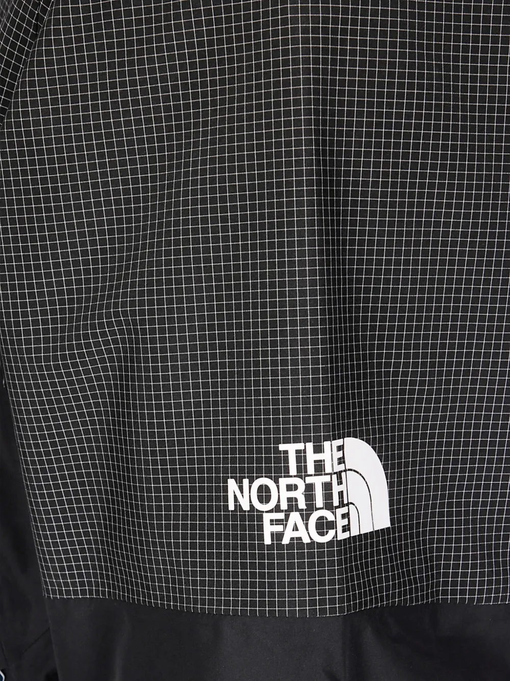 The North Face Hike Devils Thumb Gore-Tex jack Zwart