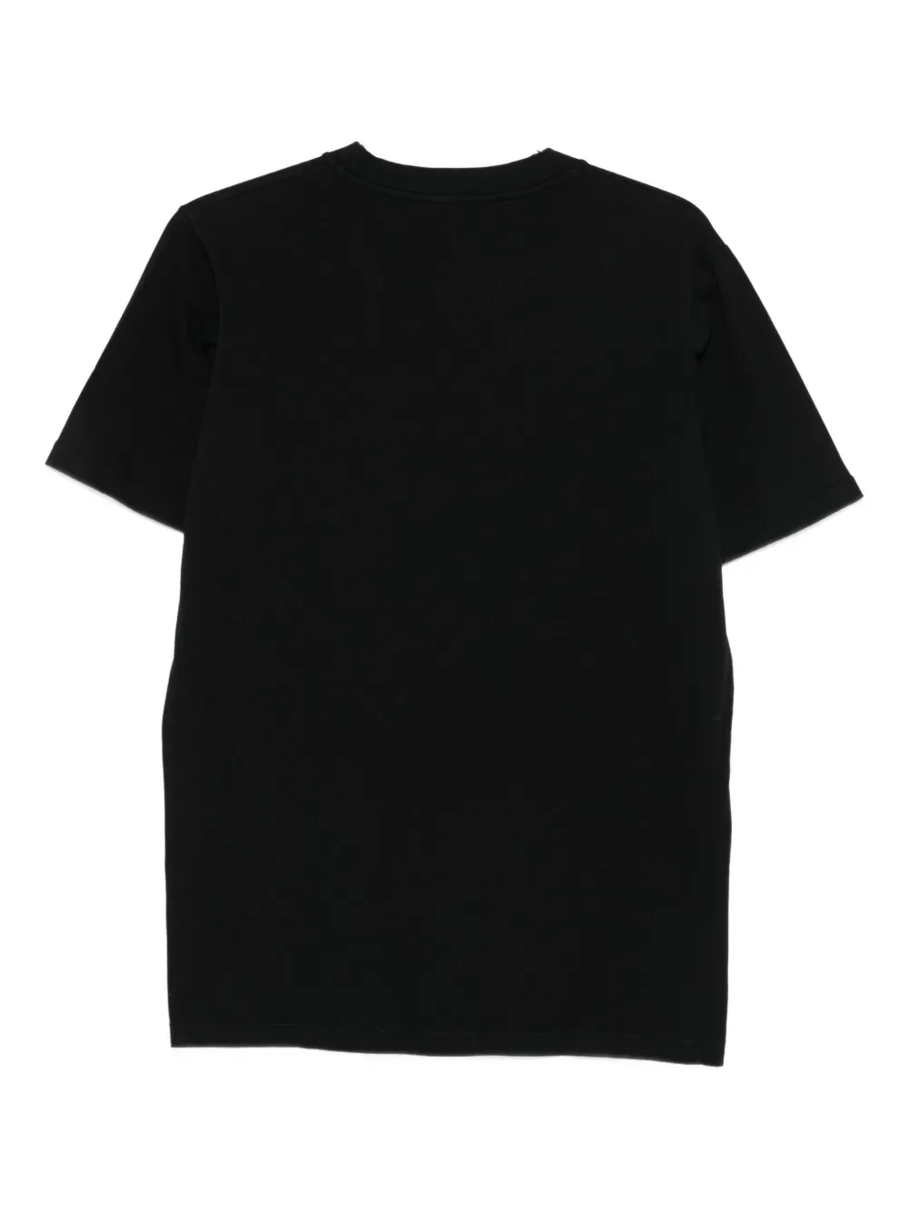 Cenere Crew-neck T-shirt In Black