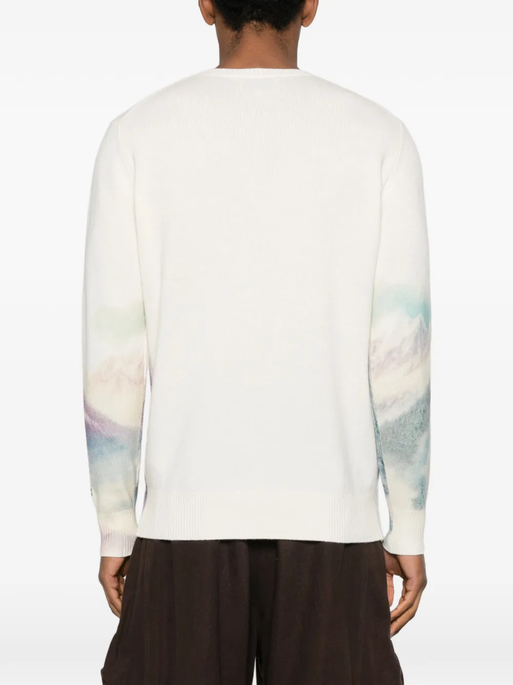 Mc2 Saint Barth Heron Print Courmayeur Graphic Sweater In Multi