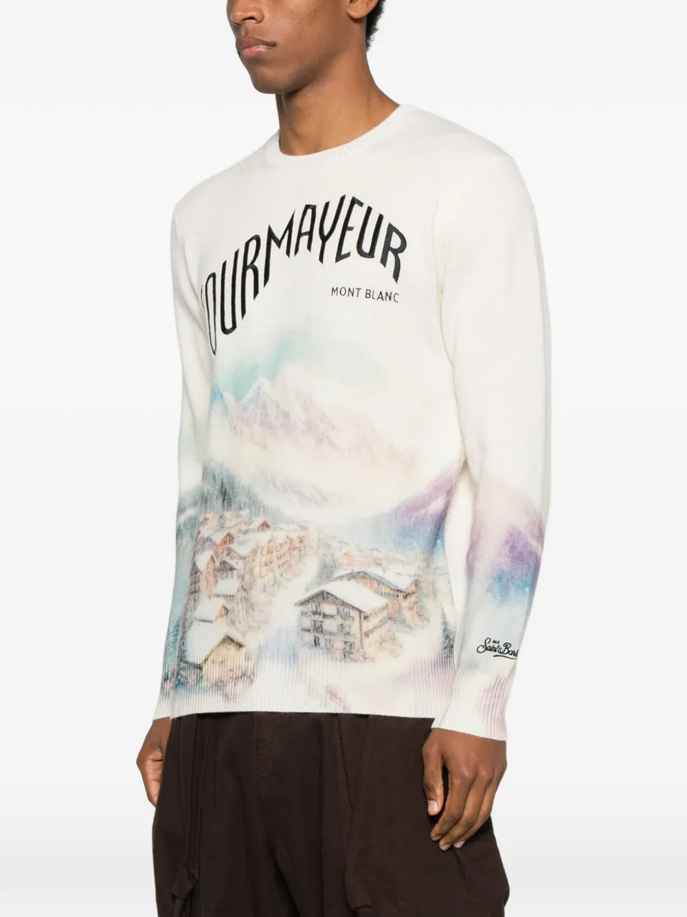 Mc2 Saint Barth Heron Print Courmayeur Graphic Sweater In Multi