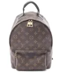 Louis Vuitton Pre-Owned 2016 Monogram Palm Springs PM backpack - Brown