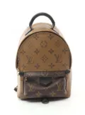 Louis Vuitton Pre-Owned 2018 Monogram Reverse Mini Palm Springs backpack - Brown