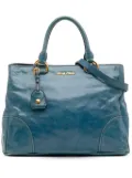 Miu Miu Pre-Owned 2010-2025 Vitello Shine satchel - Blue