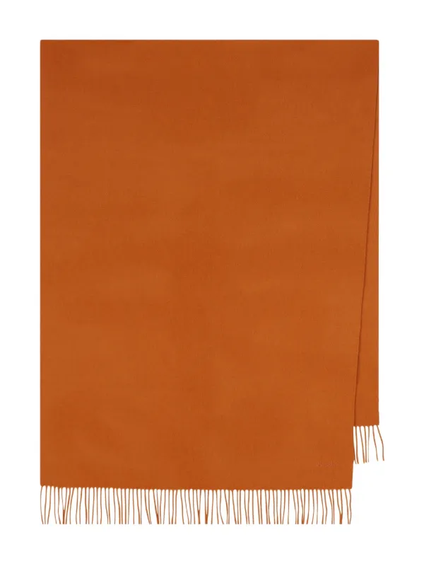 Max Mara Fringed Cashmere Scarf in Orange