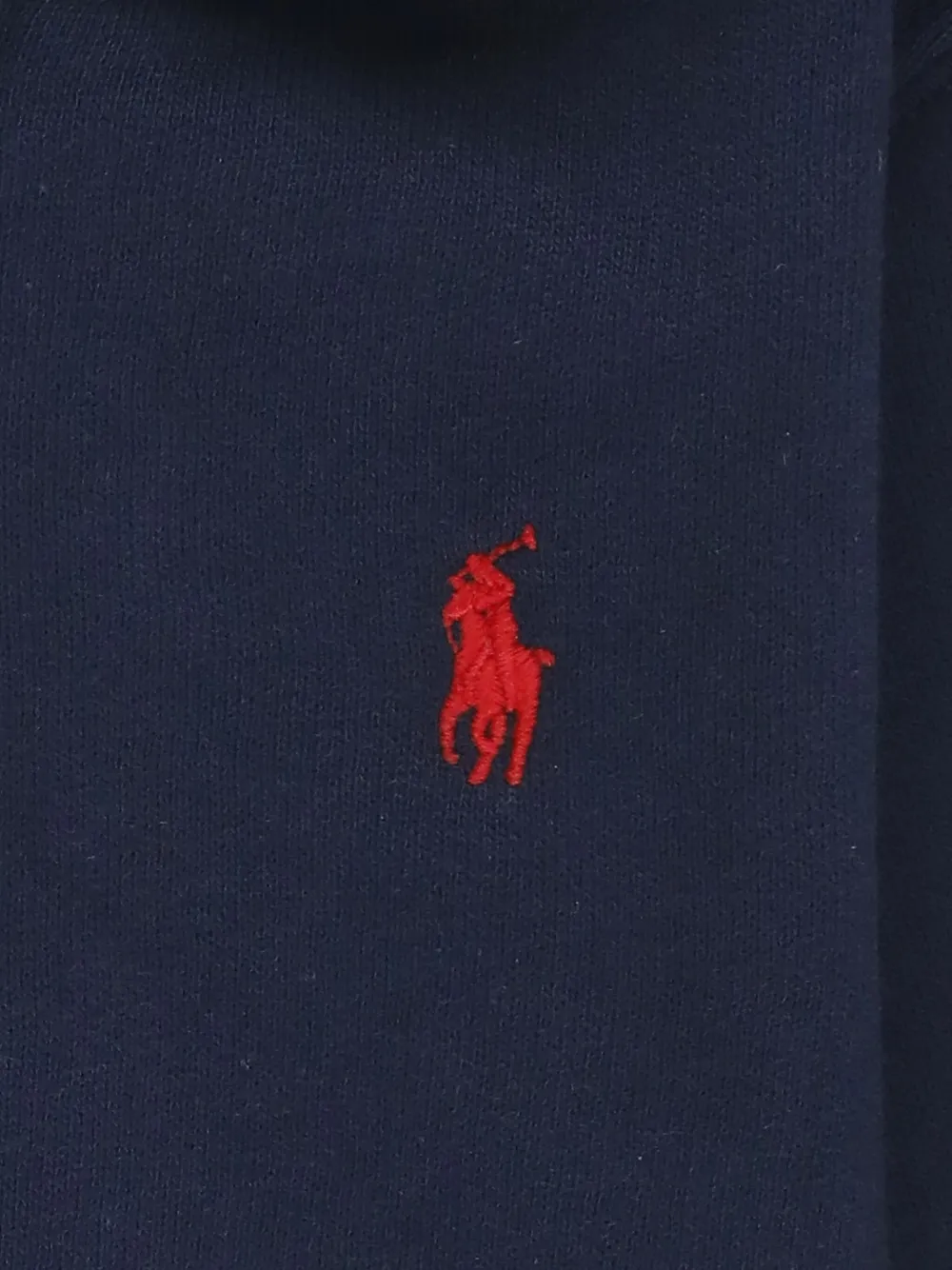 POLO RALPH LAUREN KIDS Hoodie met rits Blauw