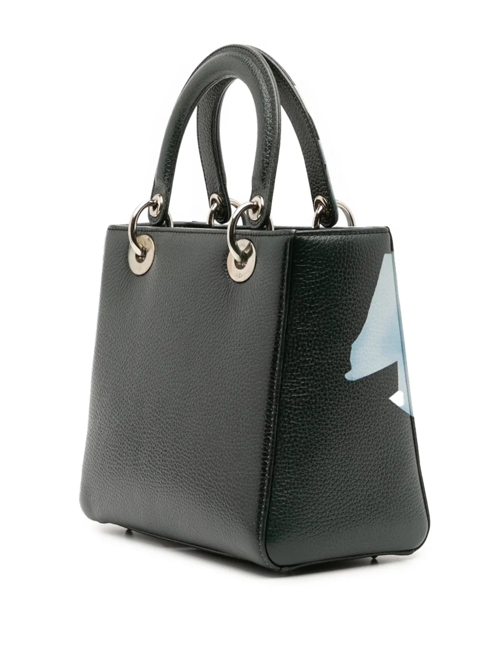 Christian Dior Pre-Owned 2014 Medium Deerskin Floral Print Lady