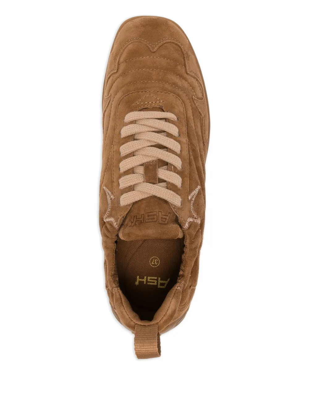 Ash Suede Low Top Sneakers With Round Toe In Brown