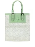 Loewe Pre-Owned 2007 Anagram Canvas tote bag - Green