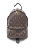 Louis Vuitton Pre-Owned 2019 Monogram Palm Springs PM backpack - Brown