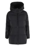 Herno hodded padded coat - Black