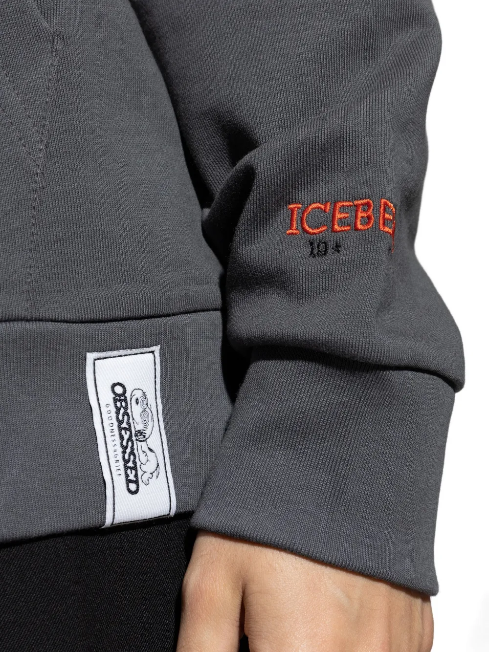 Iceberg Graphic-print Hoodie In Gray