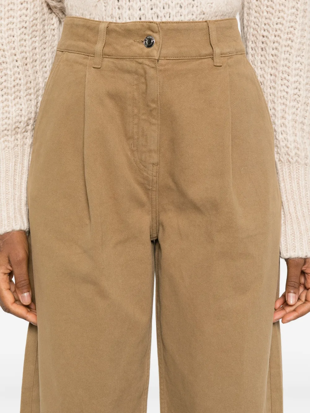 Iro Pleated Trousers In Brown