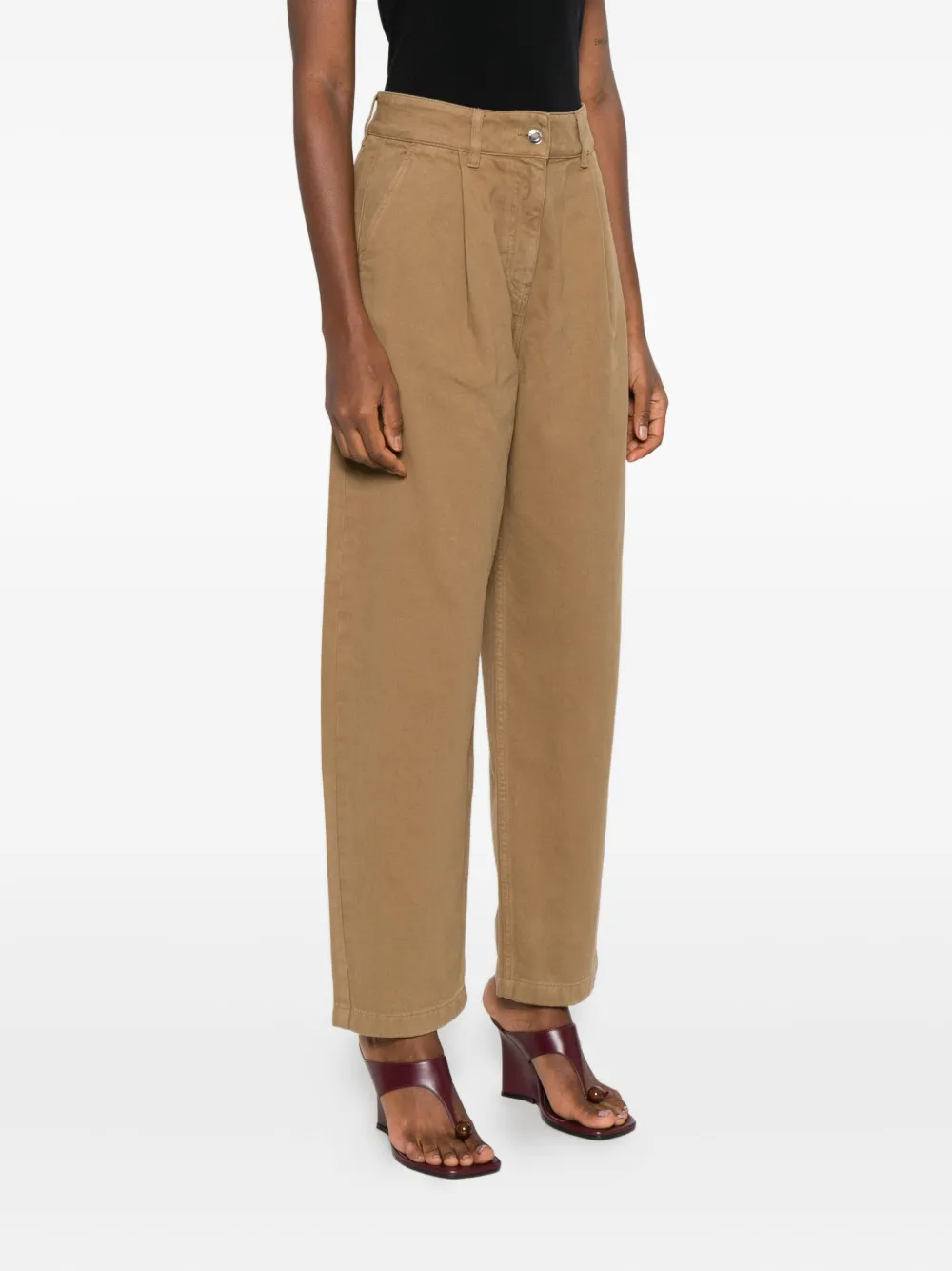 Iro Pleated Trousers In Brown