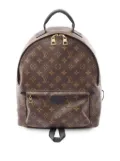 Louis Vuitton Pre-Owned 2017 Monogram Palm Springs MM backpack - Brown