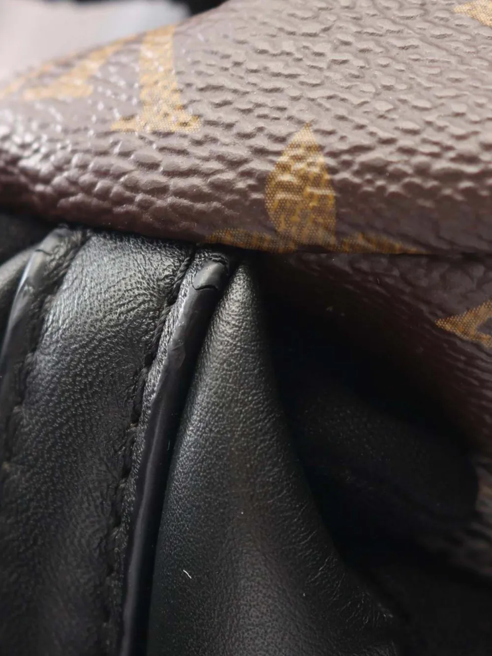 Pre-owned Louis Vuitton 2017 Monogram Palm Springs Mm Backpack In Brown