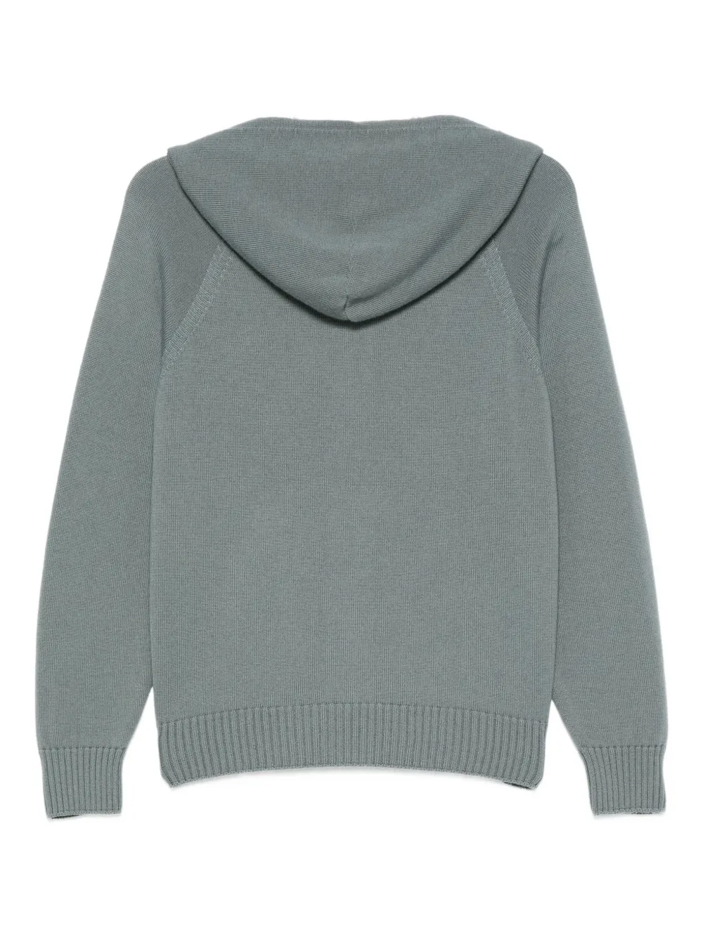 Drumohr Hooded Zip-up Sweater In Green