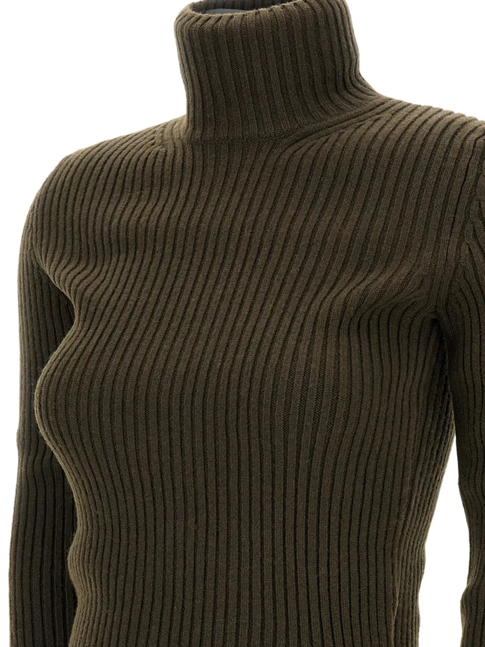 Max Mara Ribbed Turtleneck Sweater In Green