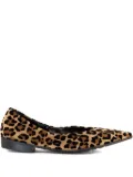 mara bini pointed-toe flat pumps - Brown