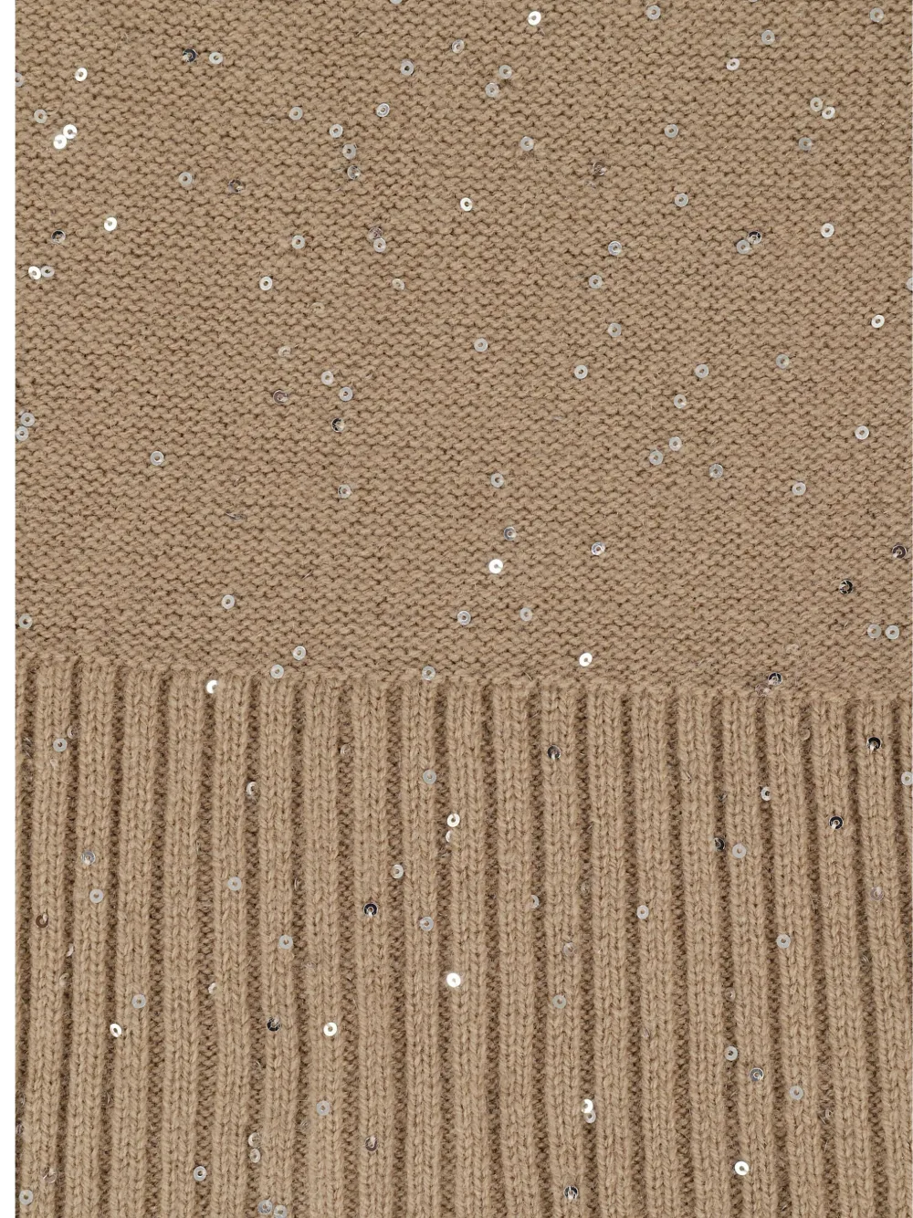 Antonelli Sequin-embellished Scarf In Brown