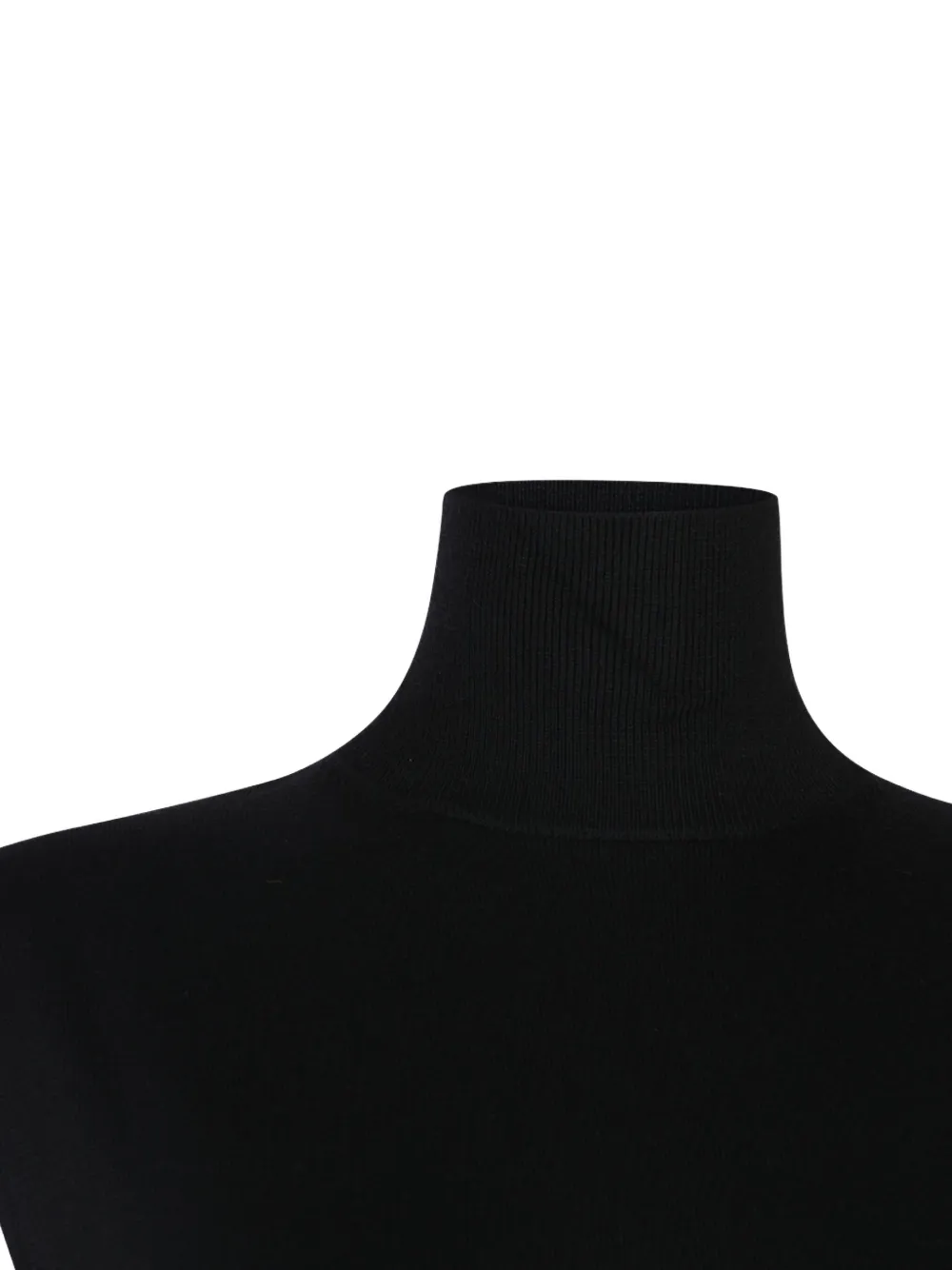 Totême Sleeveless Turtleneck Top In Black