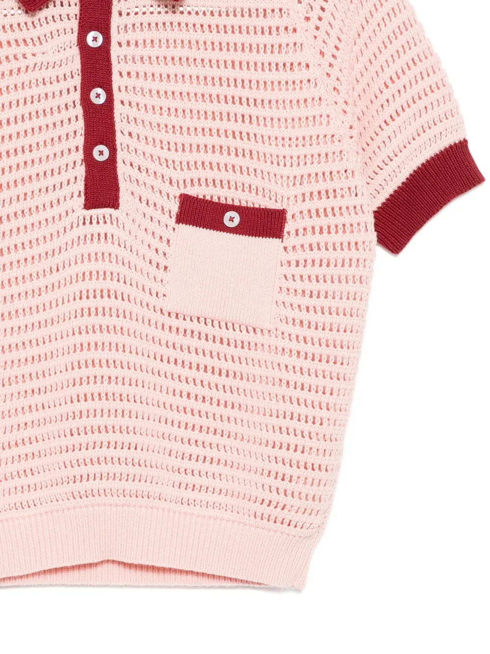 Alix Of Bohemia Lessi Blushed Crochet Top In Pink