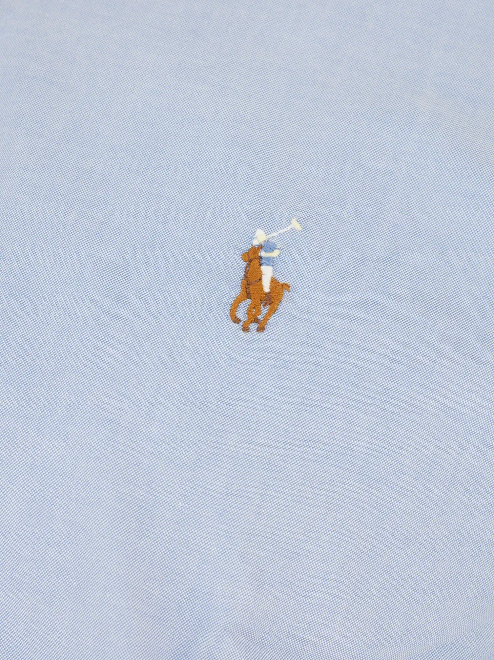 Polo Ralph Lauren Overhemd met borduurwerk Blauw