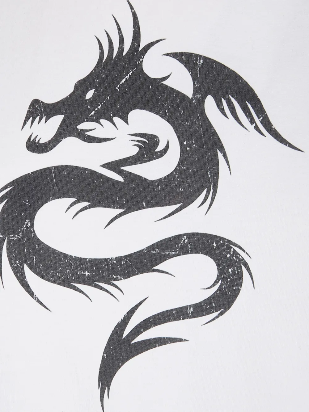 Dragon raglan-sleeve T-Shirt