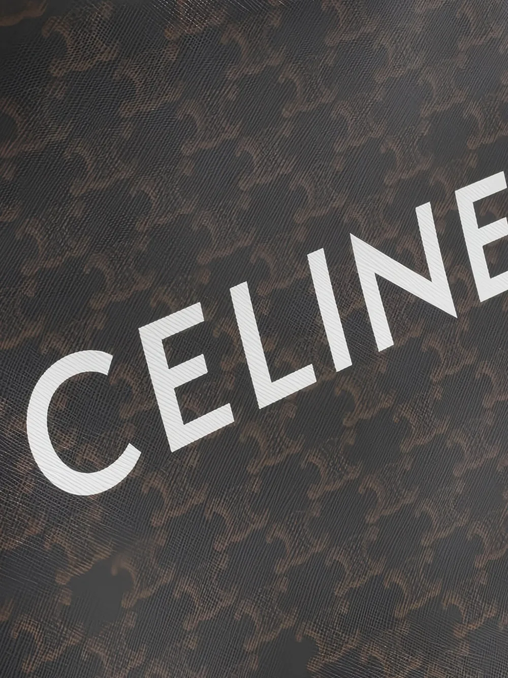 CELINE Pre-owned Small Vertical Tote Bag In Brown