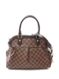Louis Vuitton Pre-Owned Trevi PM shoulder bag - Brown