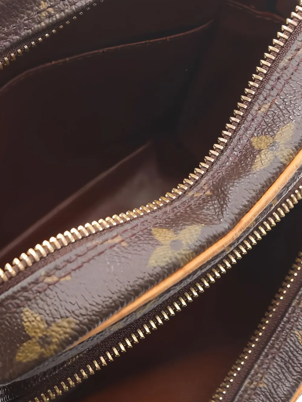 Pre-owned Louis Vuitton Amazon Monogram Shoulder Bag In Brown