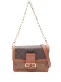 Louis Vuitton Pre-Owned Dauphine MM shoulder bag - Brown